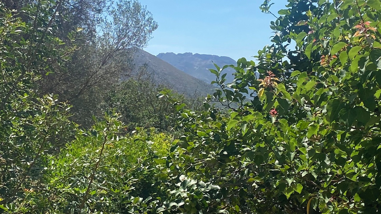 Photo of Outdoor in Lliber