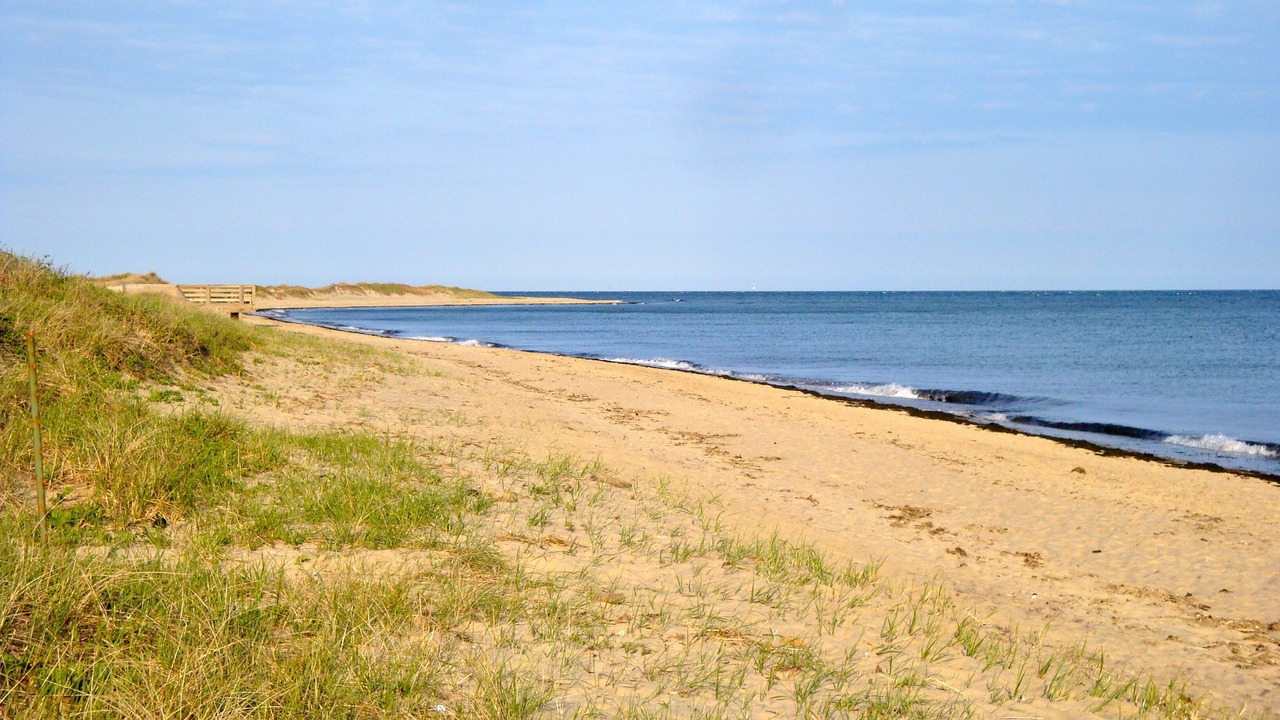 Photo of Others in Waquoit Village