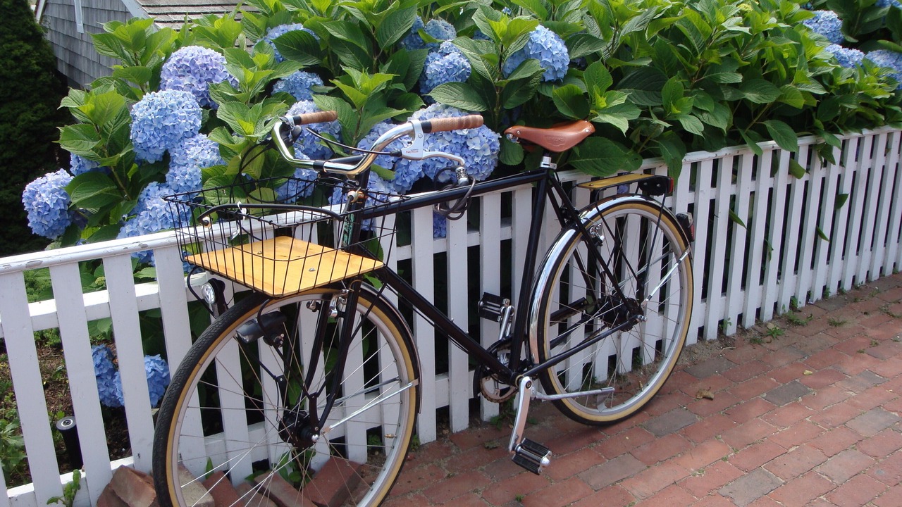 Photo of Others in Waquoit Village