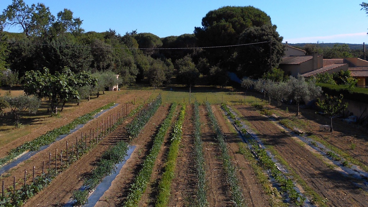 Photo of Outdoor in Montaren-et-Saint-Mediers