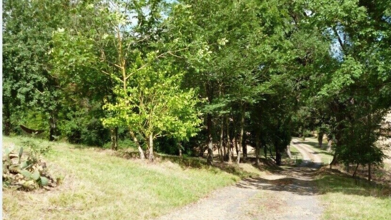 Photo of Outdoor in Idrac-Respailles