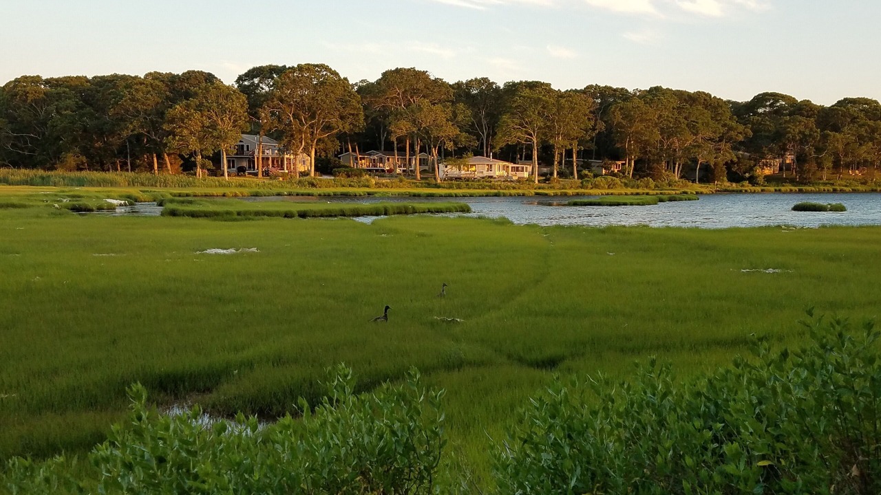 Photo of Others in Lagoon Heights
