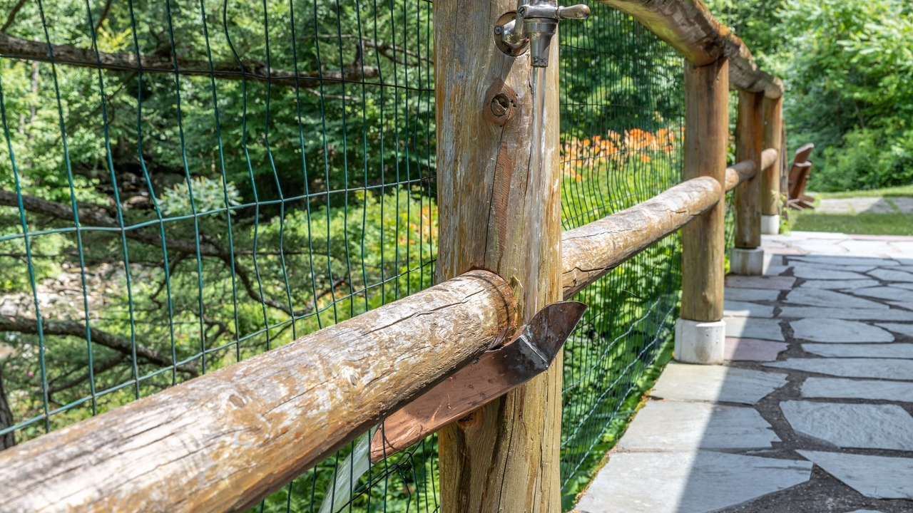 Photo of Outdoor in Underhill