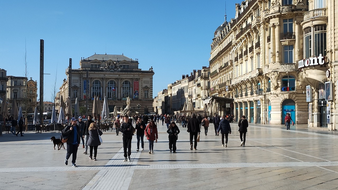 Photo of Others in Saint-Gely-du-Fesc