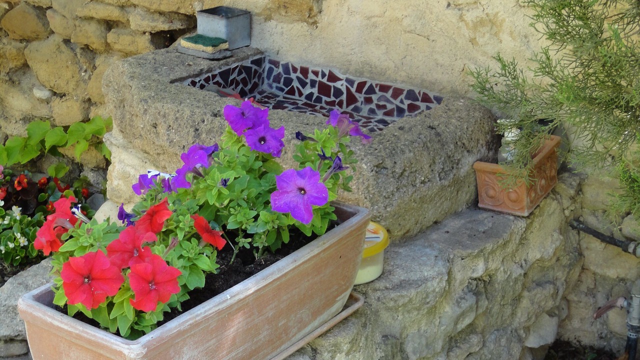 Photo of Outdoor in Sarrians