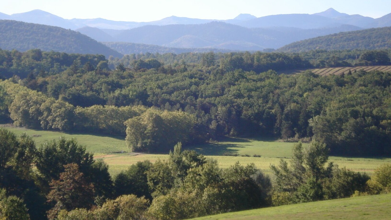 Photo of Outdoor in Regat