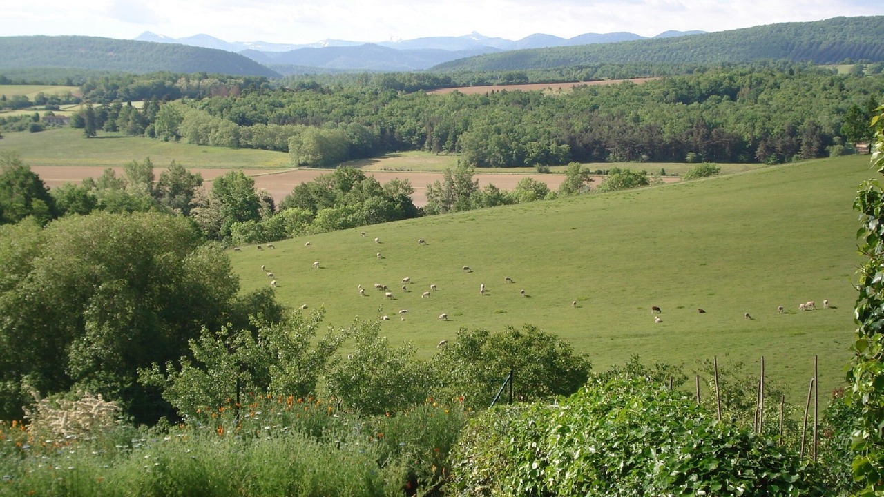 Photo of Outdoor in Regat