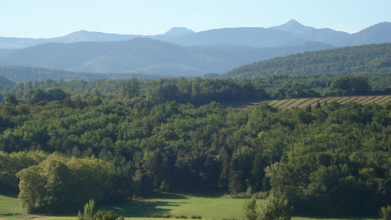 Photo of Outdoor in Regat