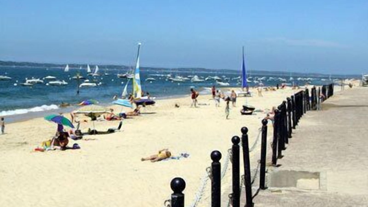 Photo of Others in Arcachon