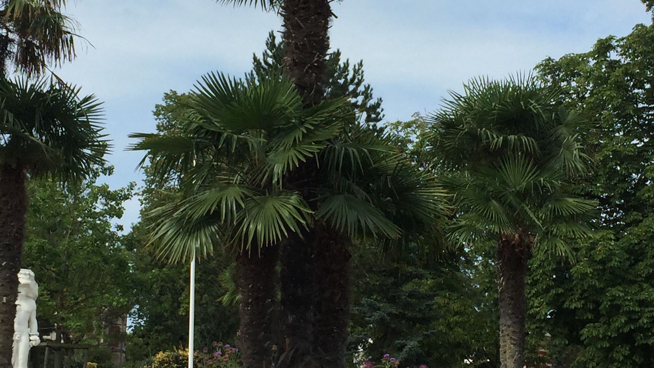 Photo of Outdoor in Arcachon