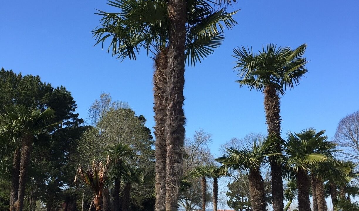 Photo of Outdoor in Arcachon