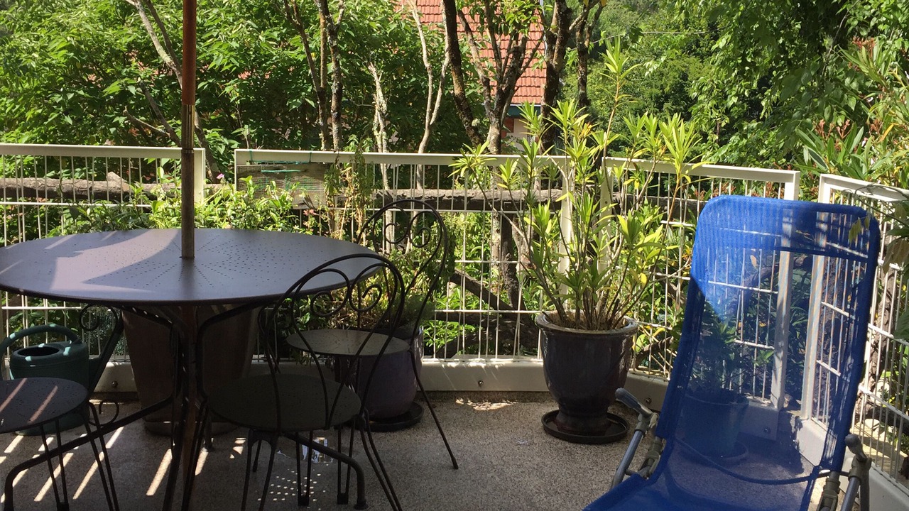 Photo of Outdoor in Arcachon