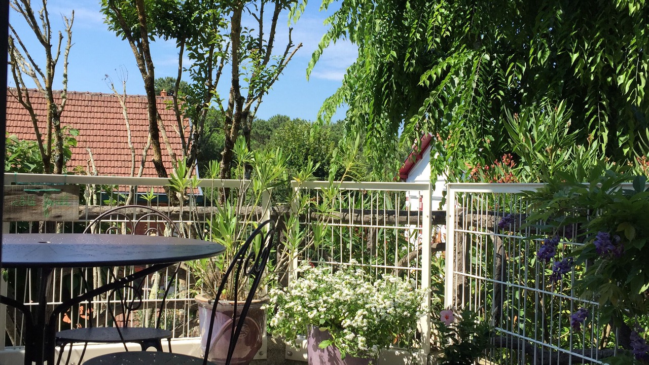 Photo of Outdoor in Arcachon