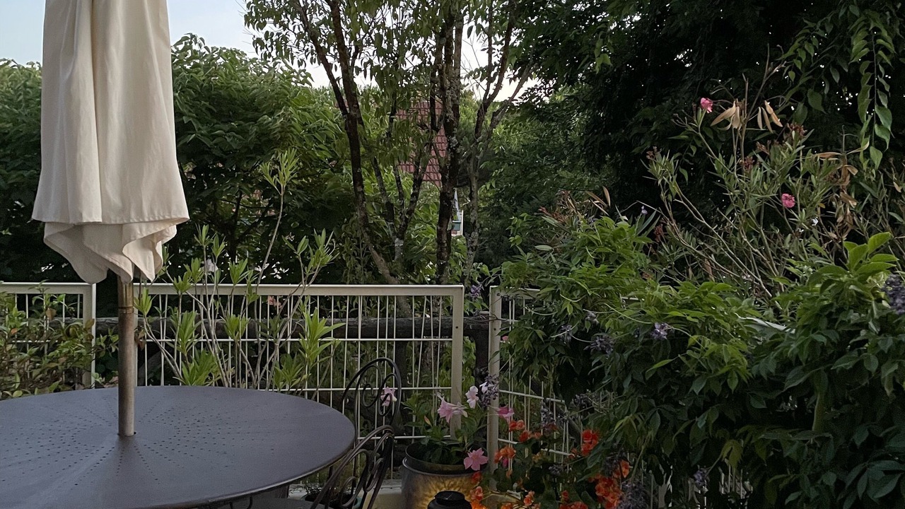 Photo of Outdoor in Arcachon