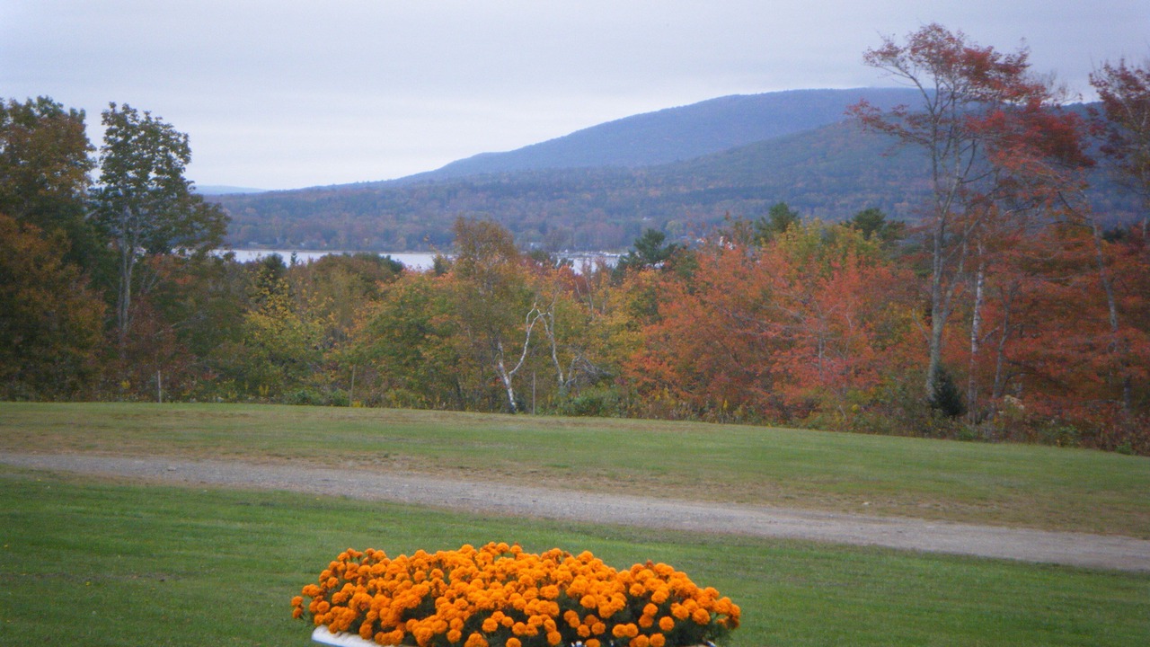 Photo of Others in Lincolnville