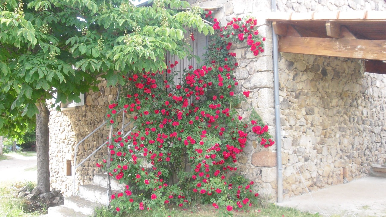 Photo of Outdoor in Lablachere