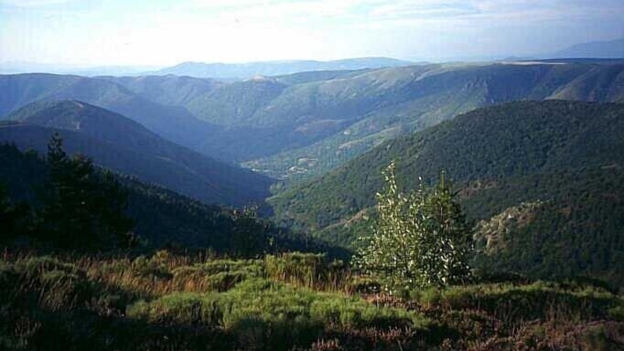 Photo of Others in Lablachere