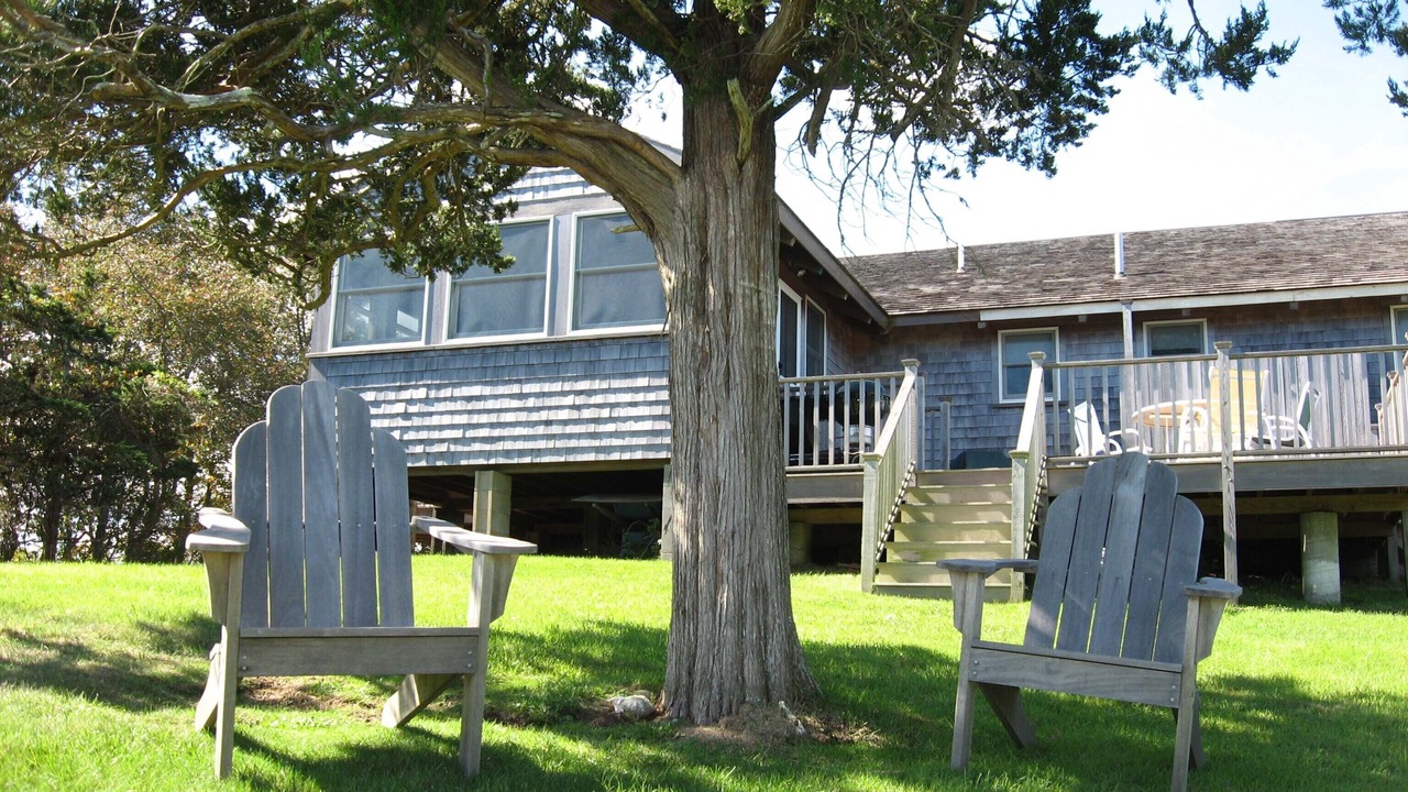 Photo of Others in Quidnet