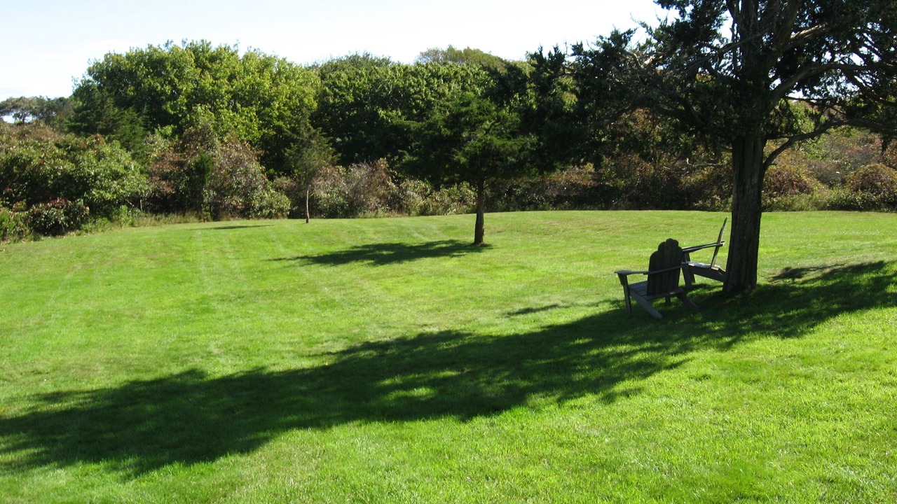 Photo of Others in Quidnet