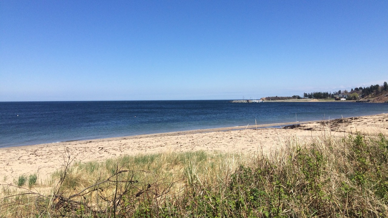 Photo of Others in Trenton