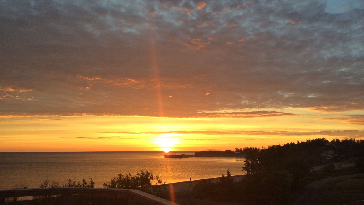 Photo of Others in Trenton