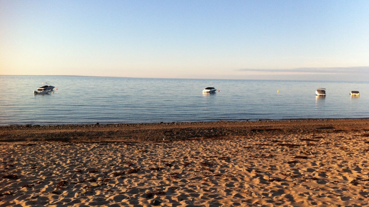 Photo of Others in Trenton