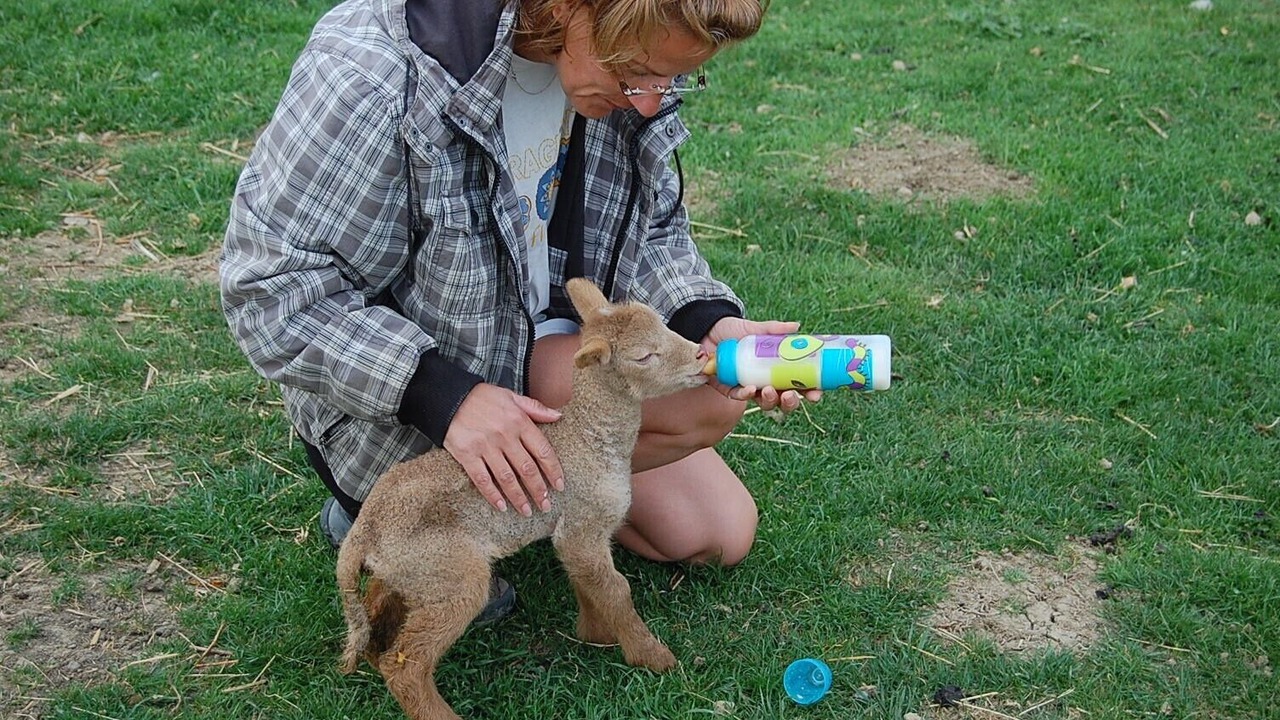 Photo of Others in Caraman