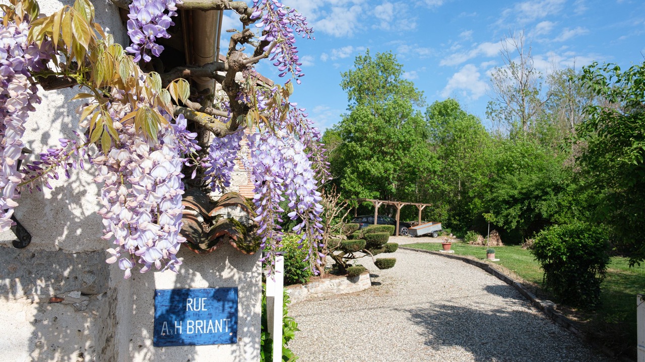 Photo of Outdoor in Feugarolles