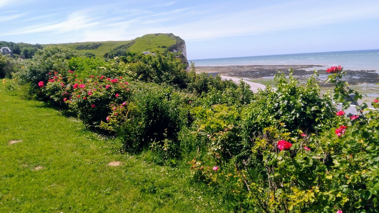 Photo of Outdoor in Veulettes-sur-Mer