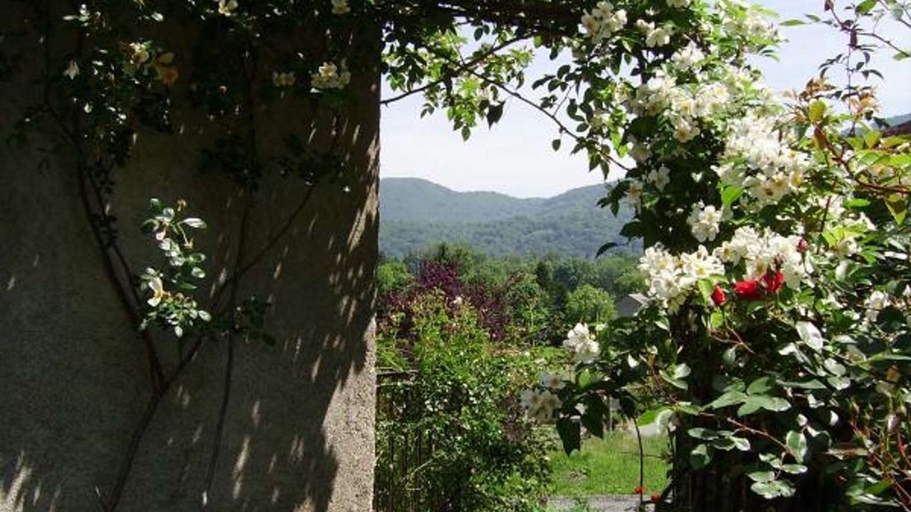 Photo of Outdoor in Salechan
