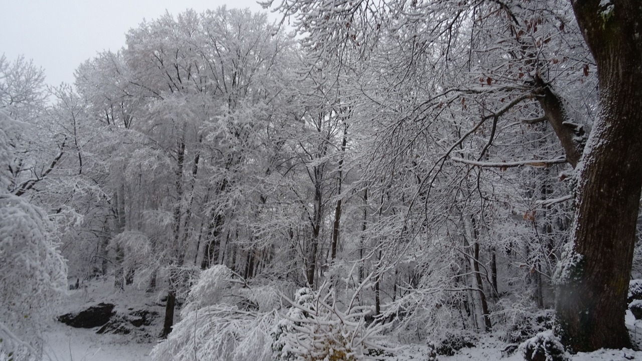 Photo of Outdoor in Salechan