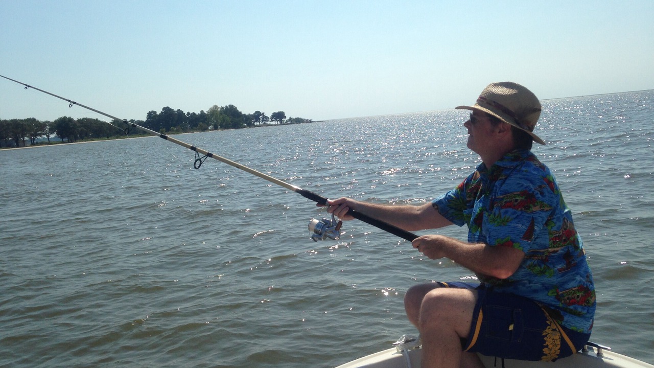 Photo of Others in Bivalve