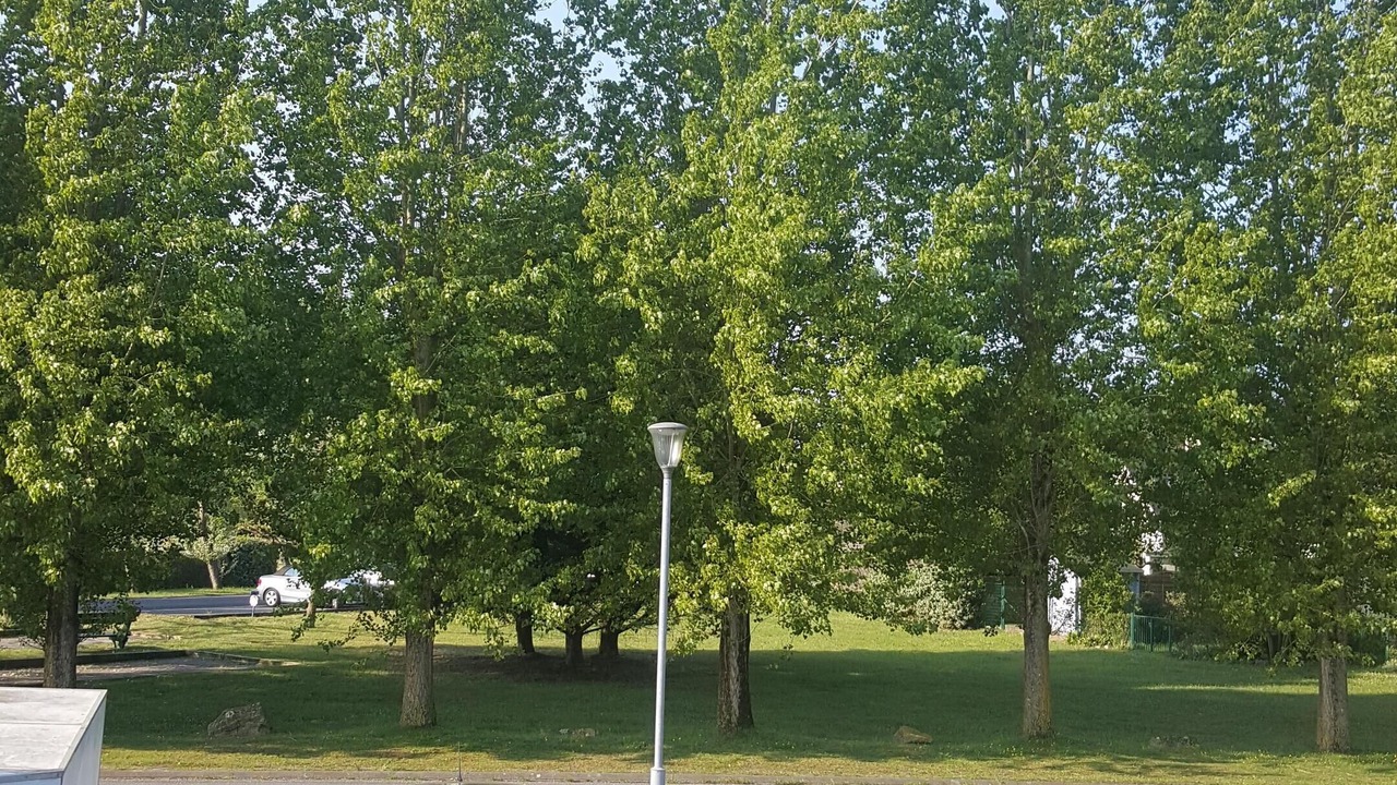 Photo of Outdoor in Batz-sur-Mer