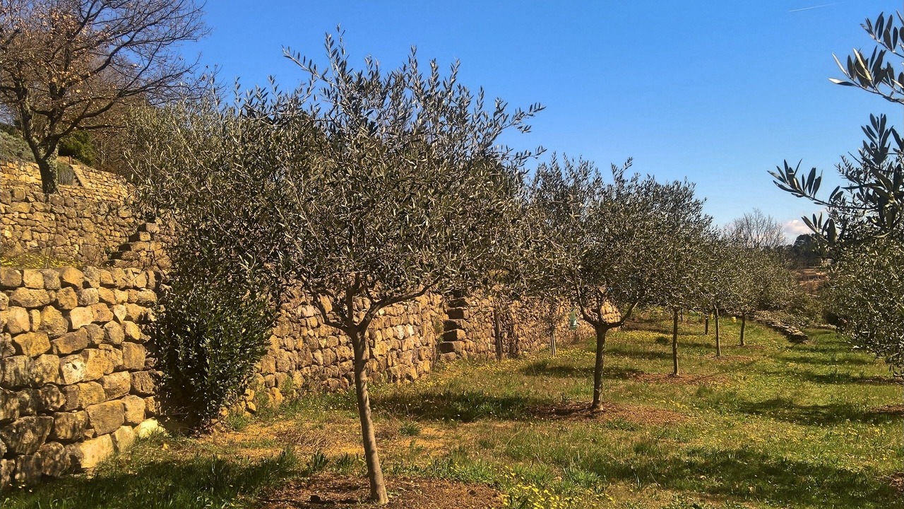 Photo of Outdoor in Joyeuse