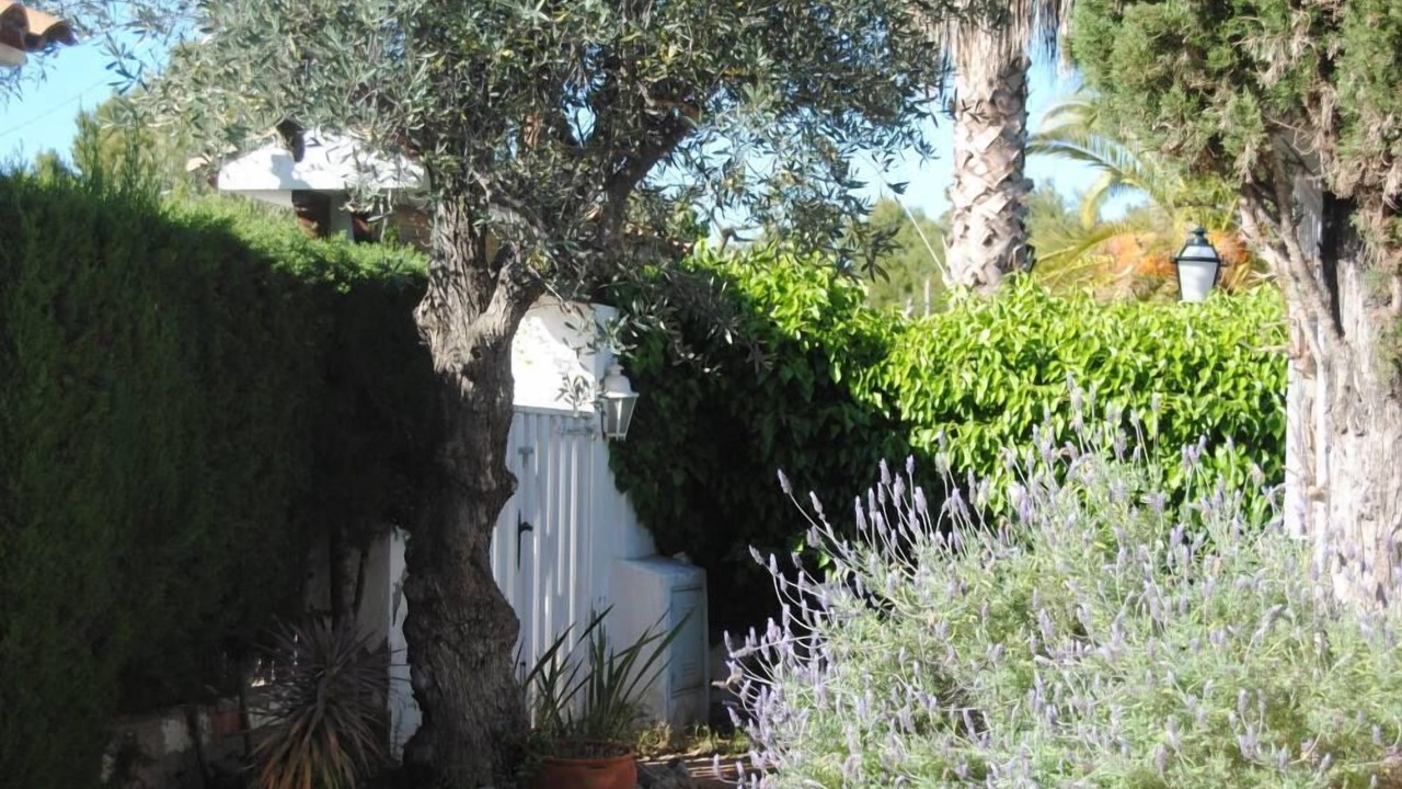 Photo of Outdoor in Can Macia