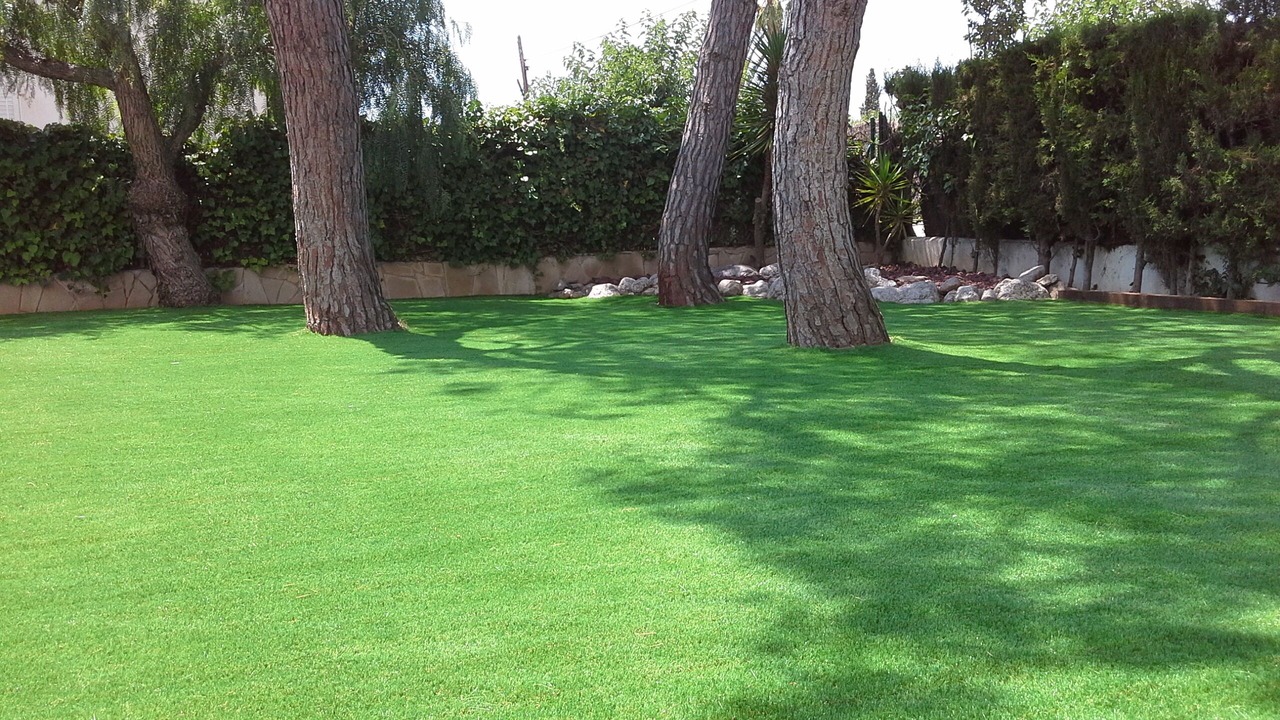 Photo of Outdoor in Can Macia