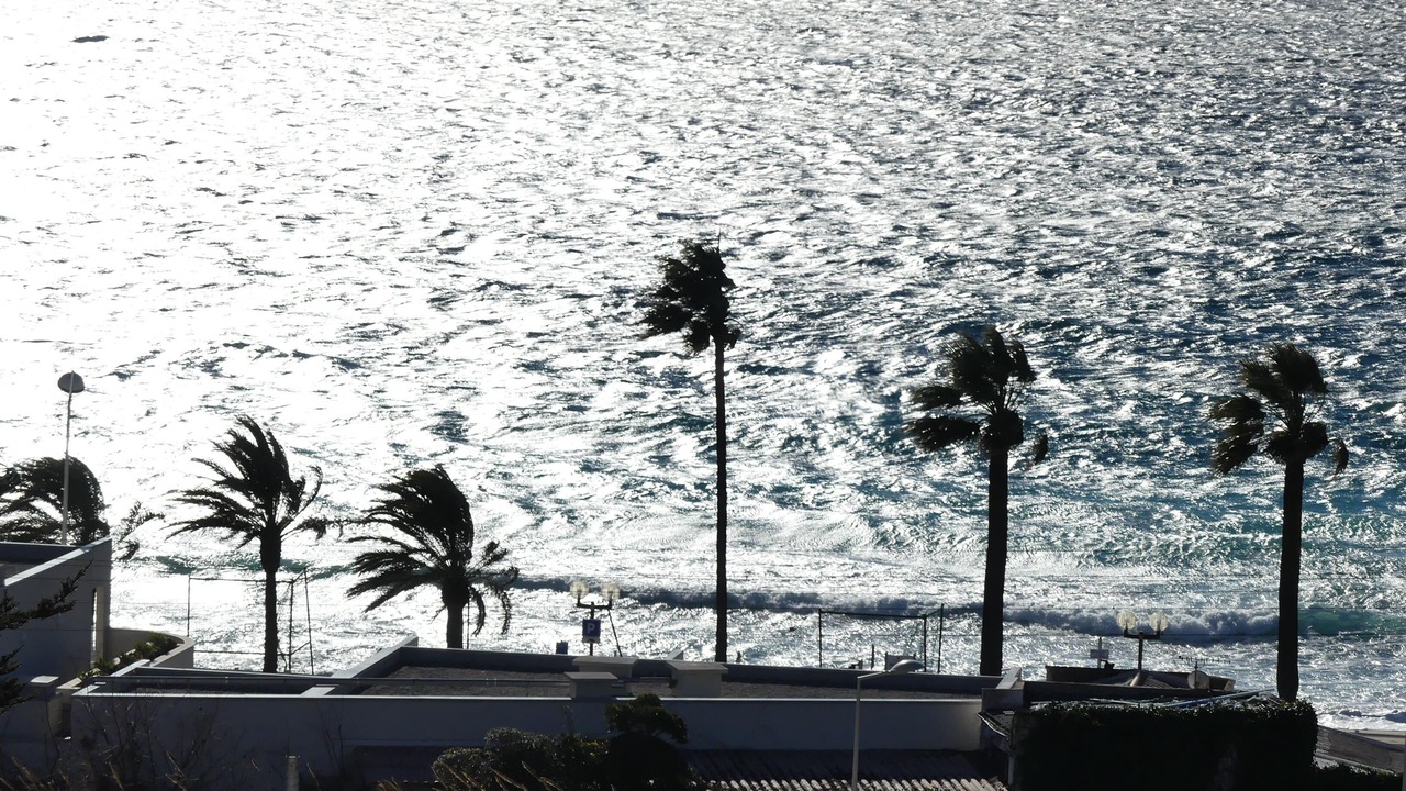 Photo of Others in Cannes