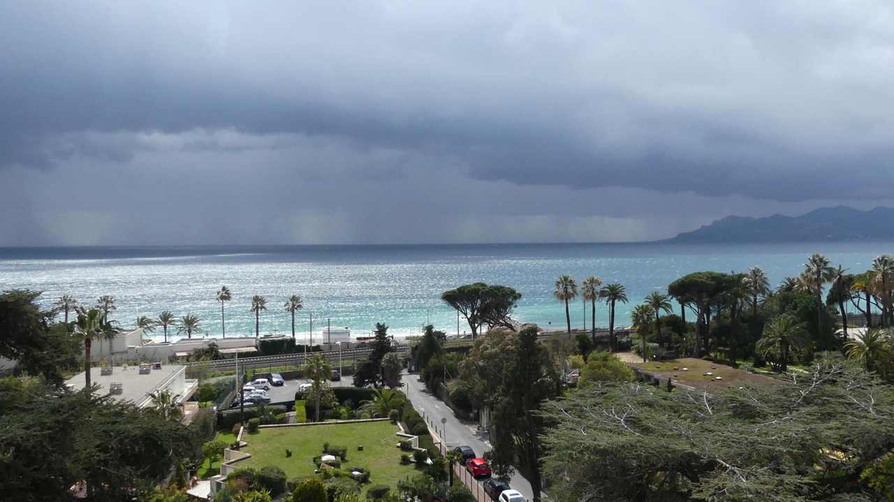 Photo of Others in Cannes