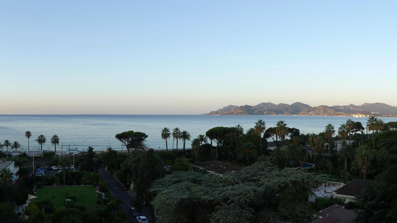 Photo of Others in Cannes