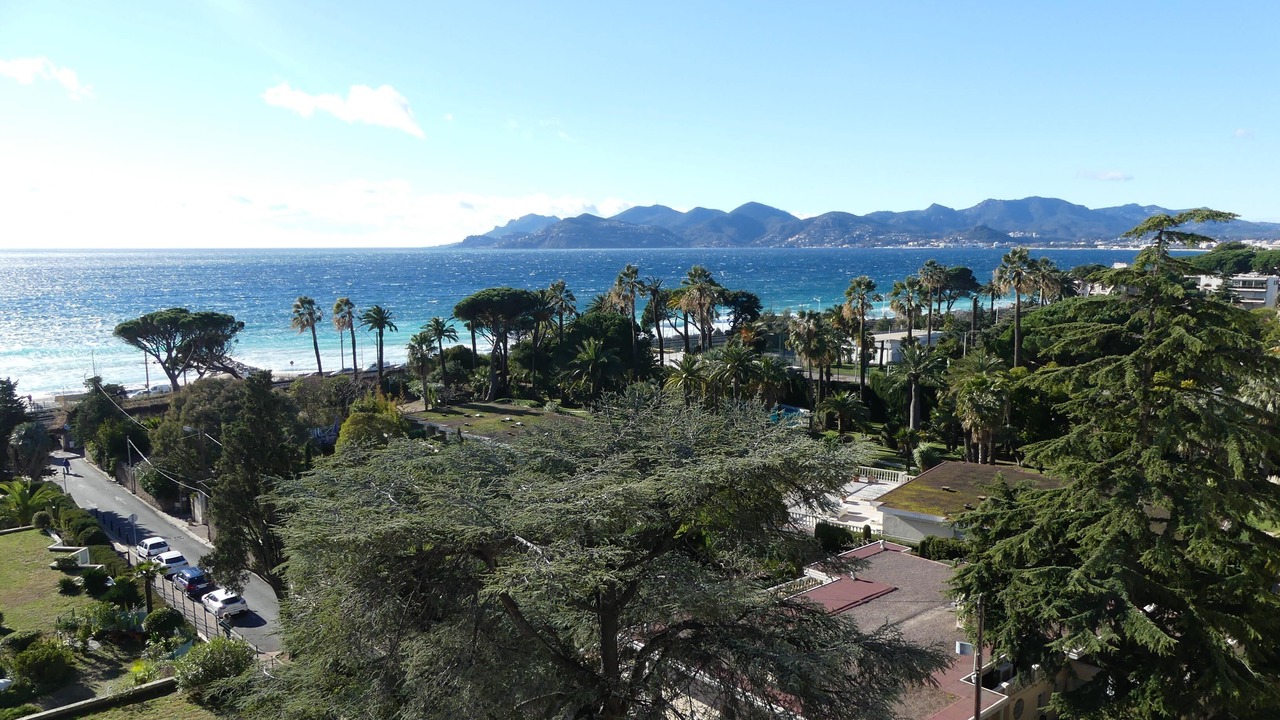 Photo of Others in Cannes