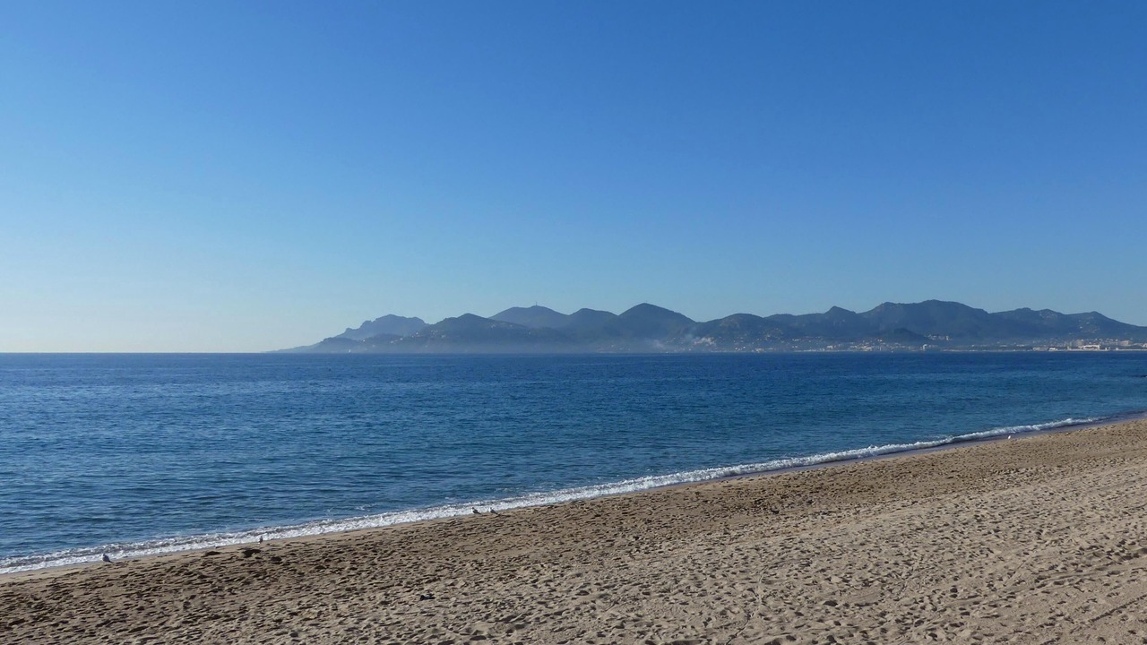 Photo of Others in Cannes