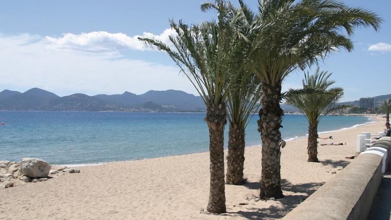 Photo of Others in Cannes