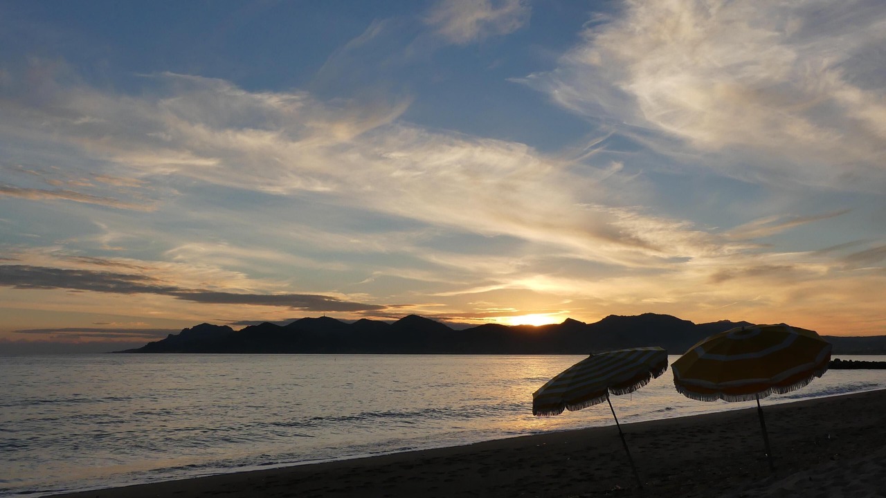 Photo of Others in Cannes