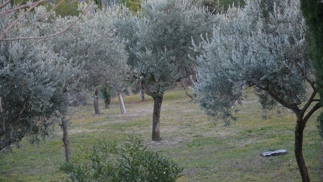 Photo of Outdoor in Mormoiron