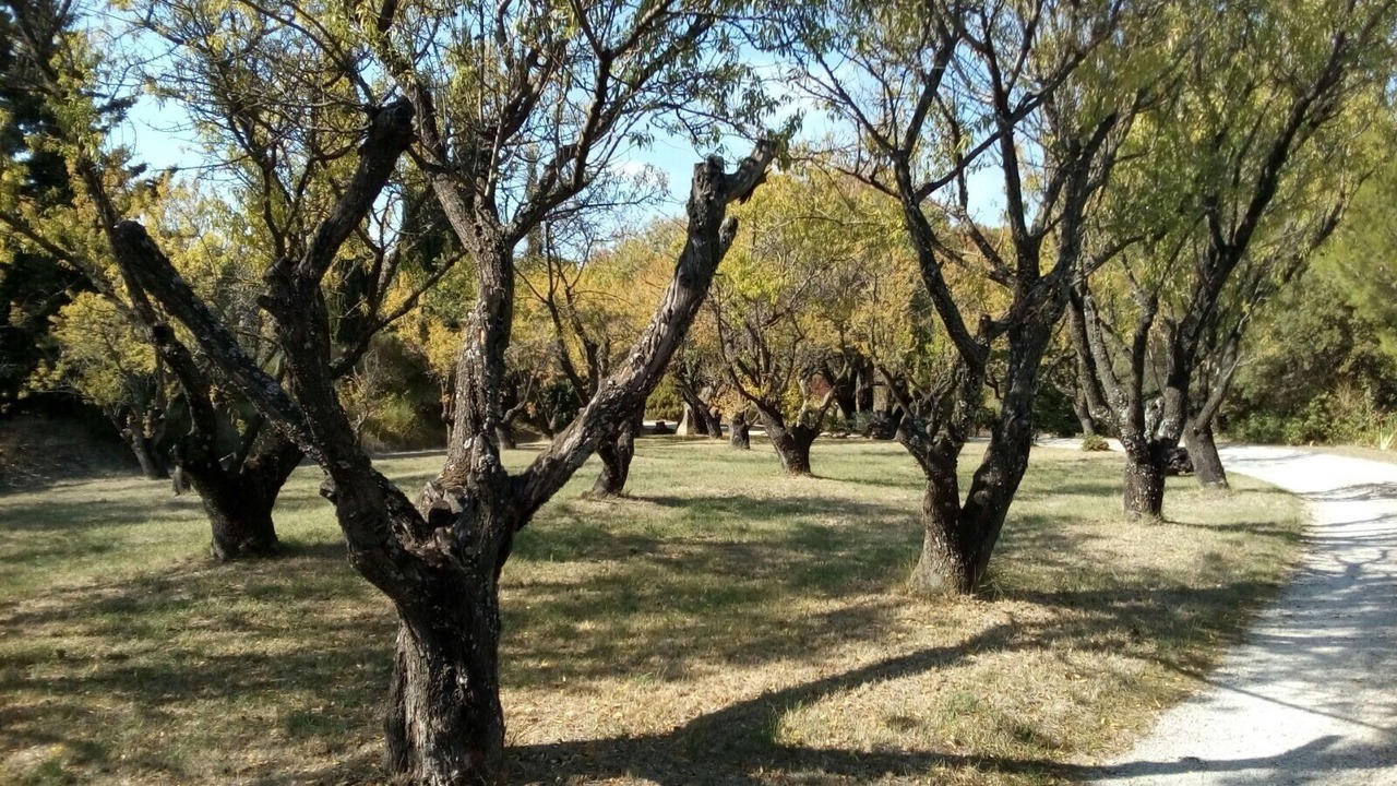 Photo of Outdoor in Mormoiron