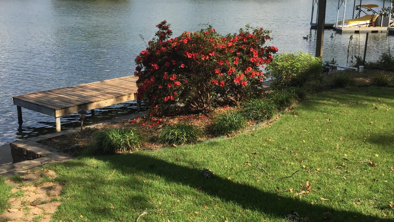 Photo of Outdoor in Piney