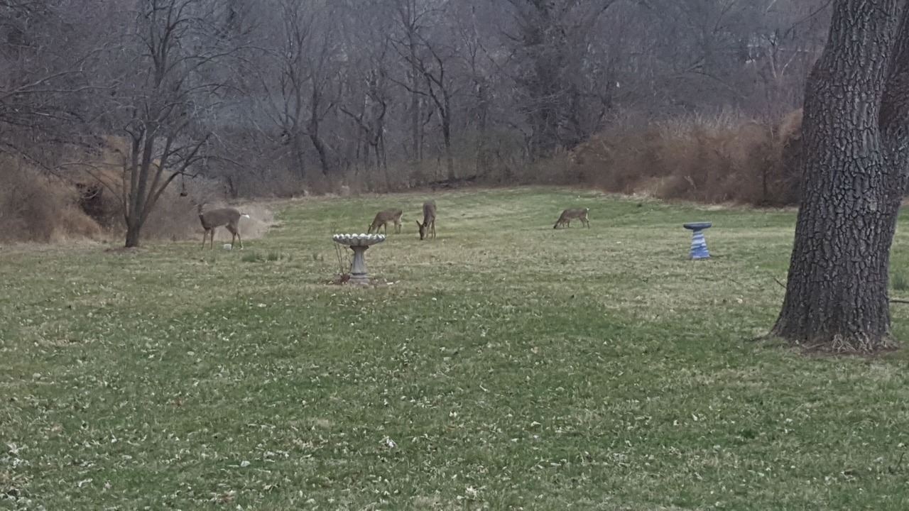 Photo of Others in Raytown