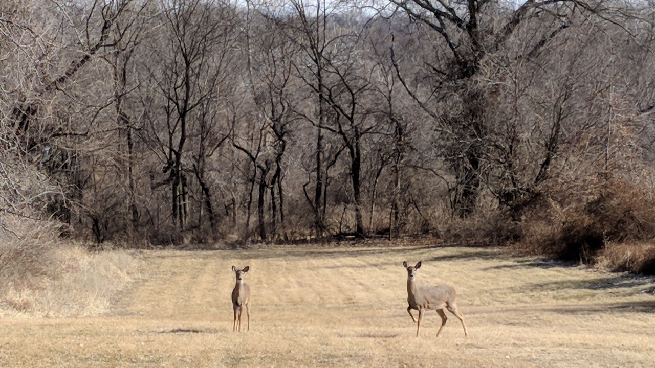 Photo of Others in Raytown