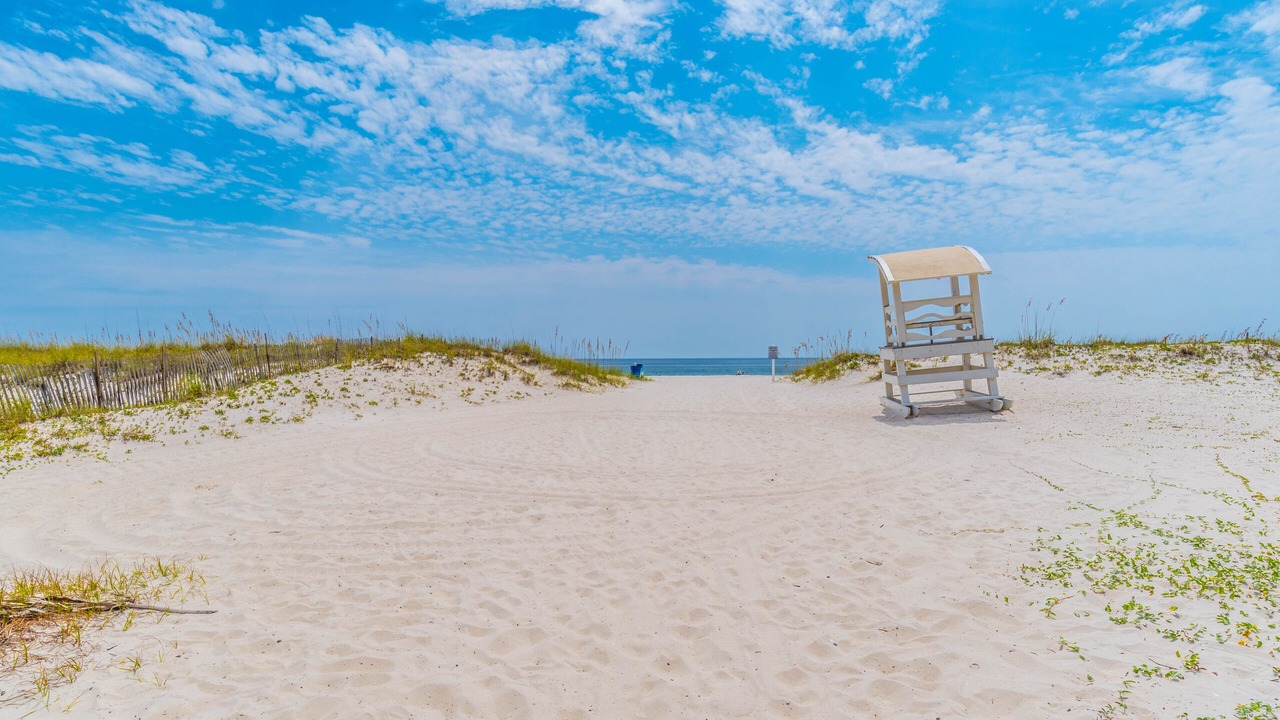 Photo of Others in Gulf Shores