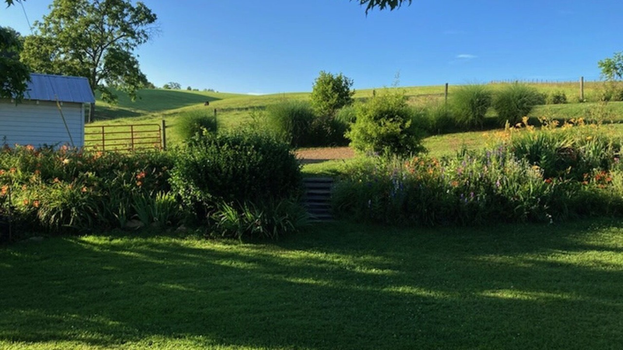 Photo of Outdoor in Dugspur